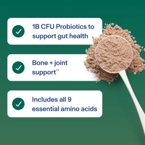 Plant Protein Powder – Chocolate – 16.5oz